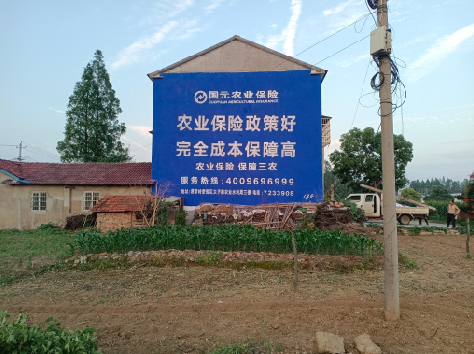 子长墙体广告的优劣势你知道吗？